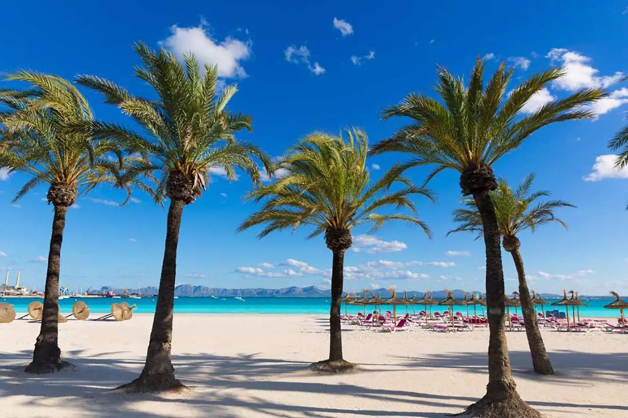 Apartamento Portobello Alcudia  Alcudia (Mallorca)